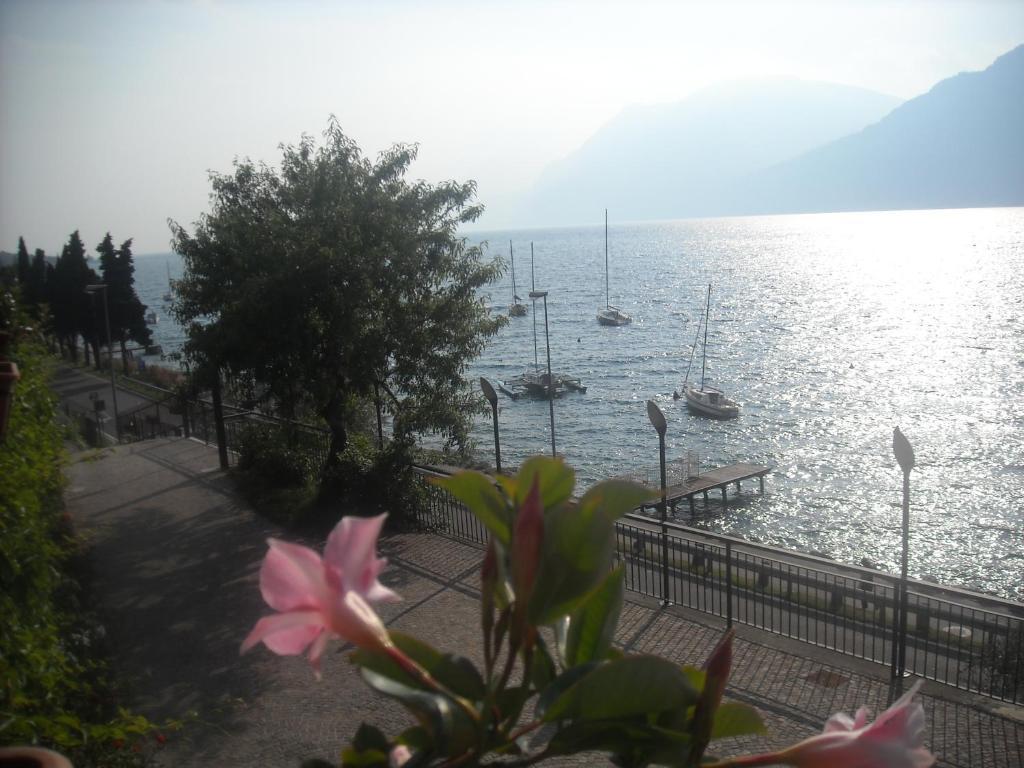 B&B Casa Sartori Malcesine Extérieur photo