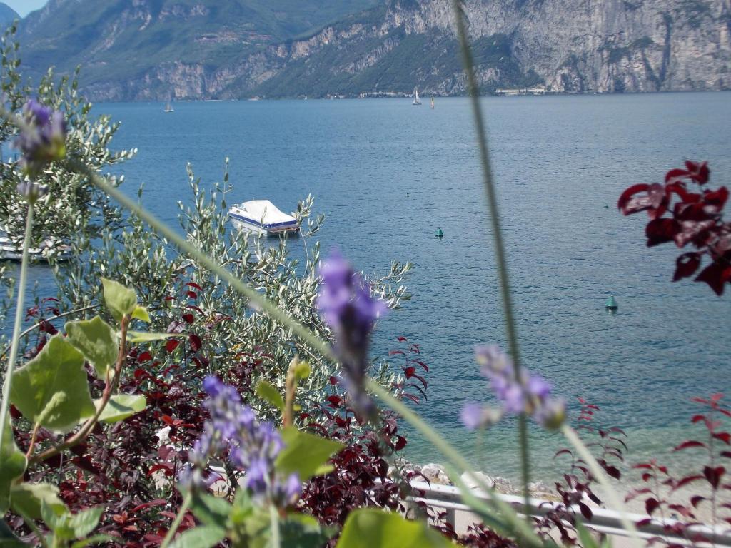 B&B Casa Sartori Malcesine Extérieur photo